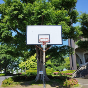 中学校、バスケットボール部のイメージ画像です